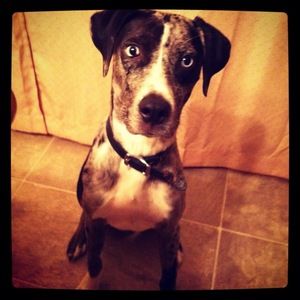 Meet your Posher, Kristina