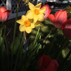 Meet your Posher, Kari