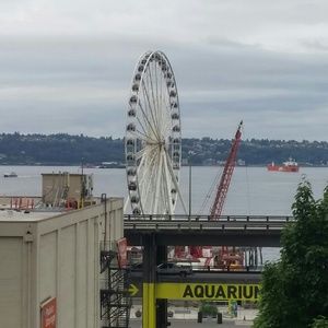 Meet your Posher, Rhonda