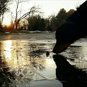 Meet your Posher, Bridgette