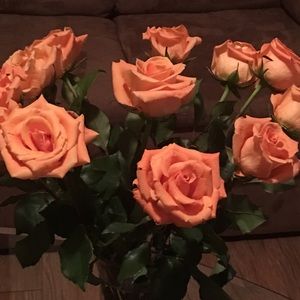 Meet your Posher, Tonya