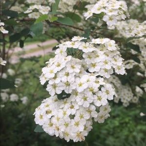 Meet your Posher, Bethany