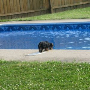 Meet your Posher, Becky