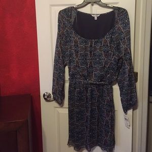 long sheer sleeved dress, size 2x **no trades**