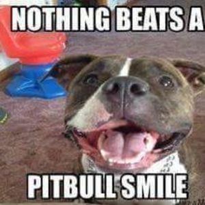 Meet your Posher, Bobbie