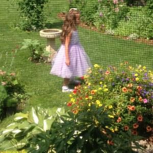 Meet your Posher, Joyce