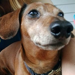 Meet your Posher, Justine