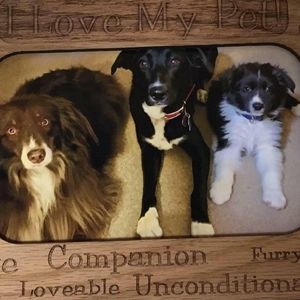 Meet your Posher, Lorene