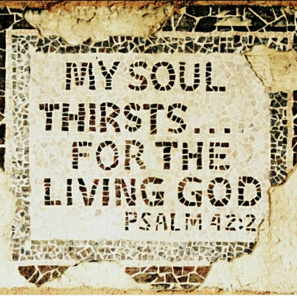 Meet your Posher, Teresa