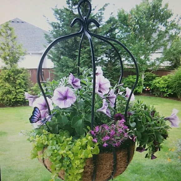 Meet your Posher, Teresa - Picture 5 of 6