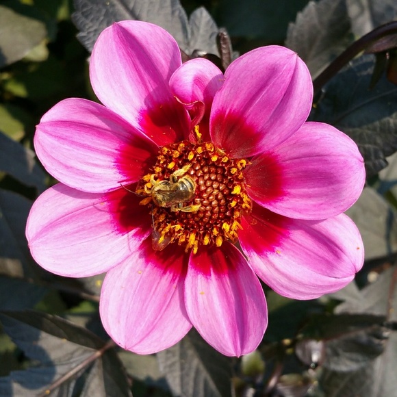 Meet your Posher, Teresa - Picture 6 of 6