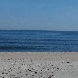 Meet your Posher, Tricia