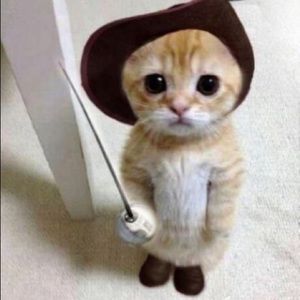 Meet your Posher, Petra