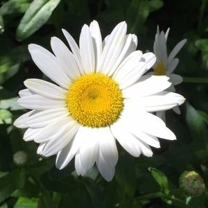 Meet your Posher, Kendalyn