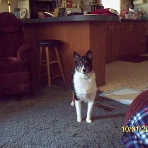 Meet your Posher, Cynthia