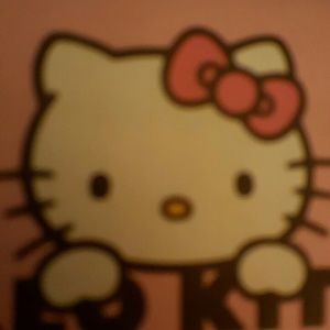 Meet your Posher, Misty