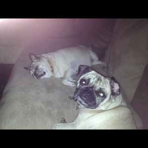 Meet your Posher, Gail