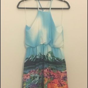 Pixie Market Landscape print dress
