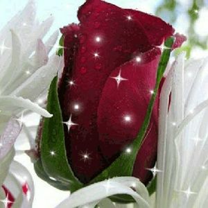 Meet your Posher, Aurora