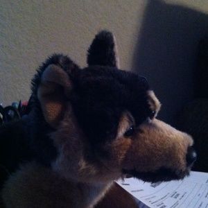 Meet your Posher, Rex