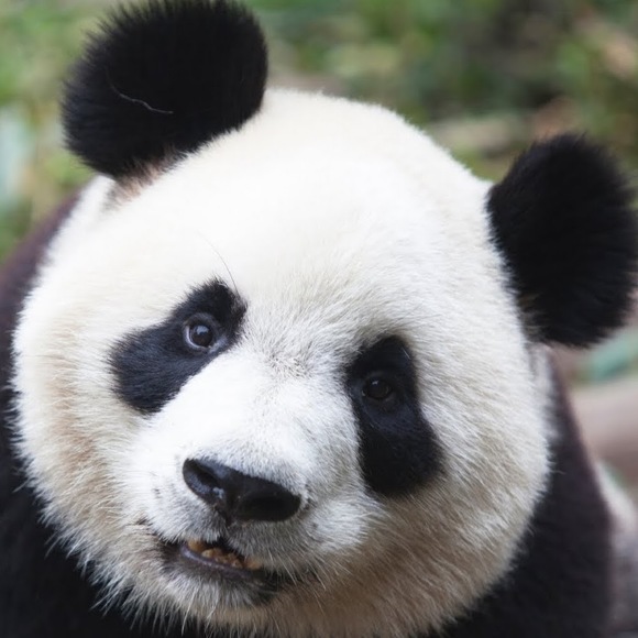 Meet your Posher, Kylie