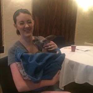 Meet your Posher, Marisha