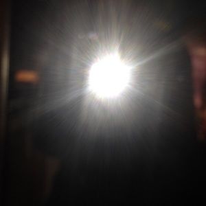 Meet your Posher, Isabella