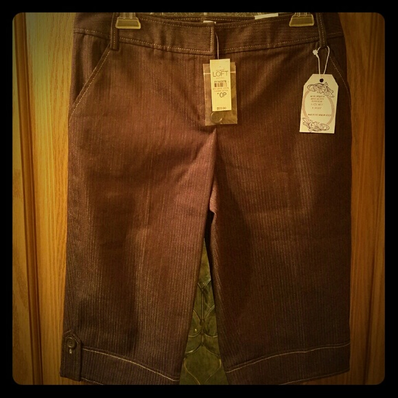 ANN TAYLOR PETITE SISE 8P KNICKERS