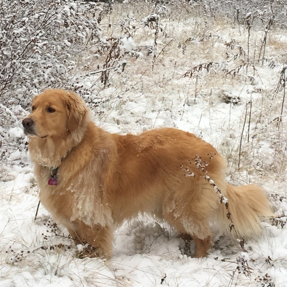 Meet your Posher, Helene - Picture 6 of 6