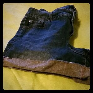 Torrid sparkle shorts