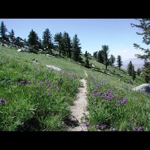 Meet your Posher, Julia