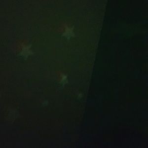 Meet your Posher, Adamaris