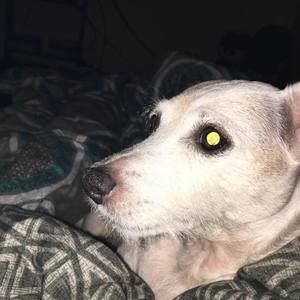 Meet your Posher, Jodi