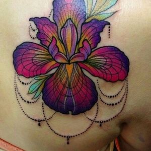 Meet your Posher, Lynnita