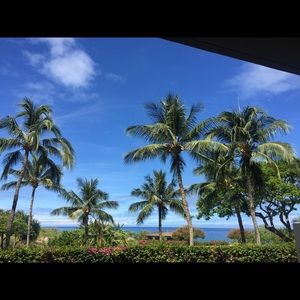 Meet your Posher, Sylvia