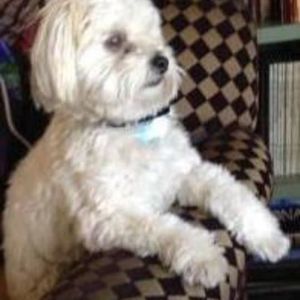 Meet your Posher, Barbara