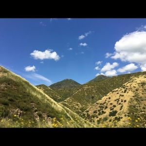 Meet your Posher, Yuqing