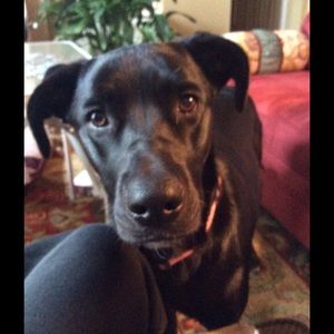 Meet your Posher, Desiree