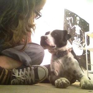 Meet your Posher, Ollie