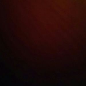 Meet your Posher, Sally