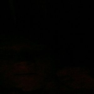 Meet your Posher, Glenda