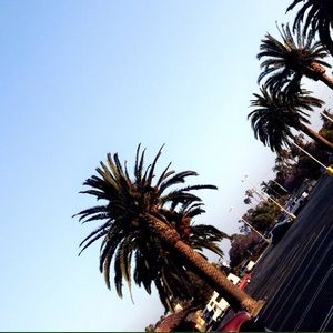 Meet your Posher, Diana