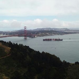 Meet your Posher, Rene