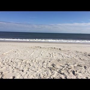 Meet your Posher, Jules