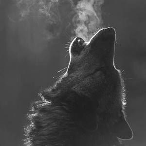 Meet your Posher, Nhã