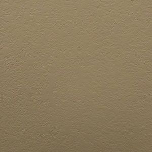 Meet your Posher, Cherrelle