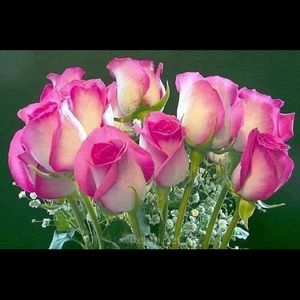 Meet your Posher, Helen