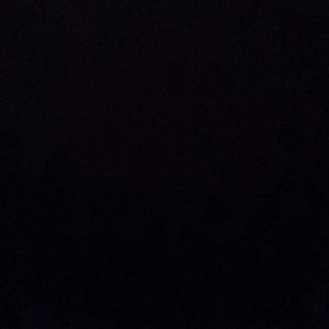 Meet your Posher, Molly