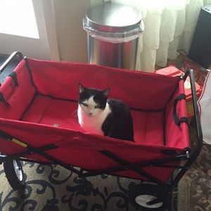 Meet your Posher, Bernadette