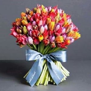 Meet your Posher, Robbie